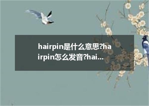 hairpin是什么意思?hairpin怎么发音?hairpin的解释和用法