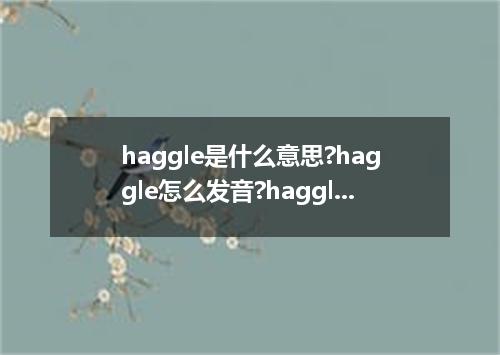 haggle是什么意思?haggle怎么发音?haggle的解释和用法