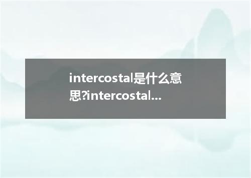 intercostal是什么意思?intercostal怎么发音?intercostal的解释和用法