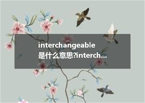 interchangeable是什么意思?interchangeable怎么发音?interchangeable的解释和用法