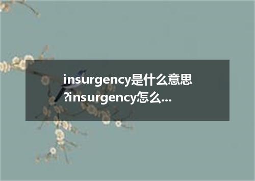 insurgency是什么意思?insurgency怎么发音?insurgency的解释和用法
