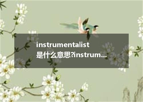 instrumentalist是什么意思?instrumentalist怎么发音?instrumentalist的解释和用法