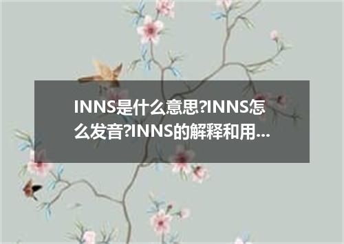 INNS是什么意思?INNS怎么发音?INNS的解释和用法