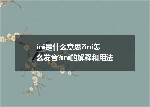 ini是什么意思?ini怎么发音?ini的解释和用法