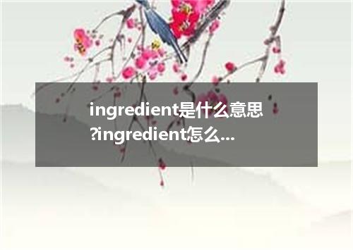 ingredient是什么意思?ingredient怎么发音?ingredient的解释和用法