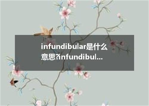 infundibular是什么意思?infundibular怎么发音?infundibular的解释和用法