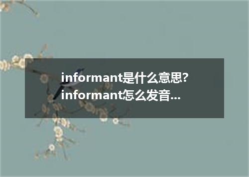 informant是什么意思?informant怎么发音?informant的解释和用法