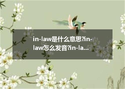 in-law是什么意思?in-law怎么发音?in-law的解释和用法