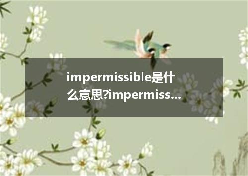 impermissible是什么意思?impermissible怎么发音?impermissible的解释和用法