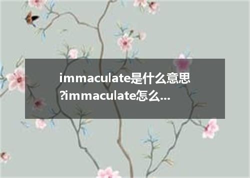 immaculate是什么意思?immaculate怎么发音?immaculate的解释和用法