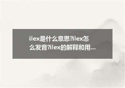 ilex是什么意思?ilex怎么发音?ilex的解释和用法