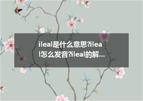 ileal是什么意思?ileal怎么发音?ileal的解释和用法