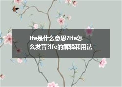 Ife是什么意思?Ife怎么发音?Ife的解释和用法
