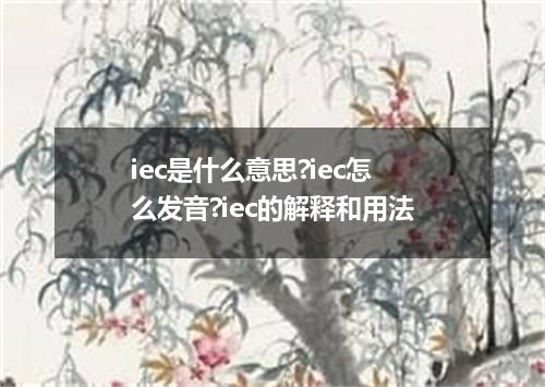 iec是什么意思?iec怎么发音?iec的解释和用法