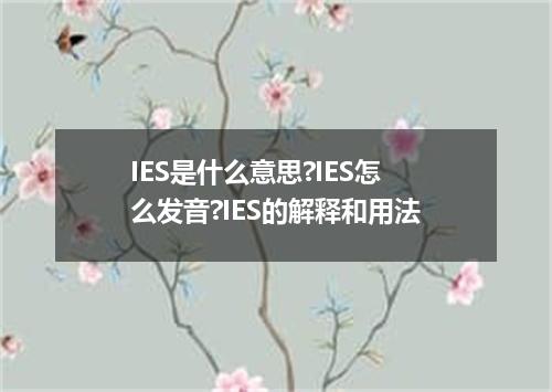 IES是什么意思?IES怎么发音?IES的解释和用法