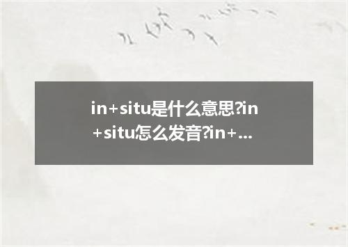 in+situ是什么意思?in+situ怎么发音?in+situ的解释和用法