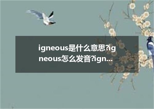 igneous是什么意思?igneous怎么发音?igneous的解释和用法