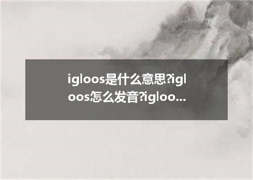 igloos是什么意思?igloos怎么发音?igloos的解释和用法