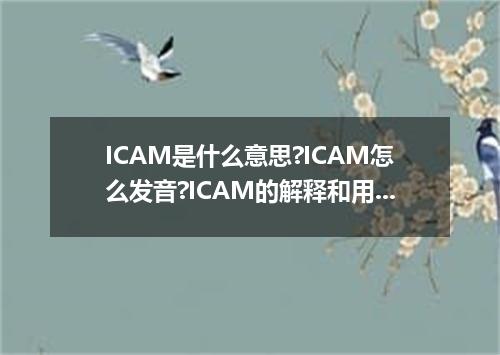 ICAM是什么意思?ICAM怎么发音?ICAM的解释和用法