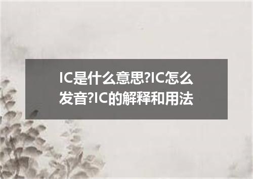 IC是什么意思?IC怎么发音?IC的解释和用法