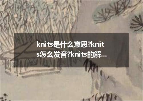 knits是什么意思?knits怎么发音?knits的解释和用法