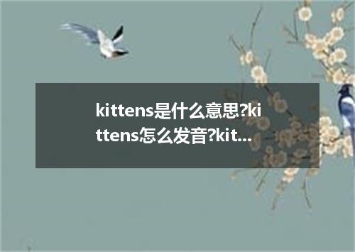 kittens是什么意思?kittens怎么发音?kittens的解释和用法