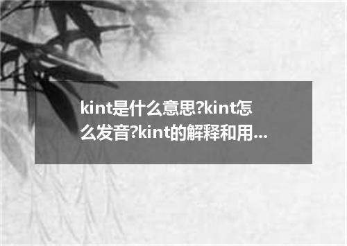 kint是什么意思?kint怎么发音?kint的解释和用法