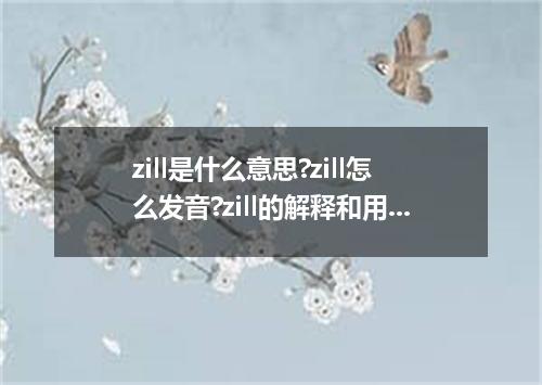 zill是什么意思?zill怎么发音?zill的解释和用法