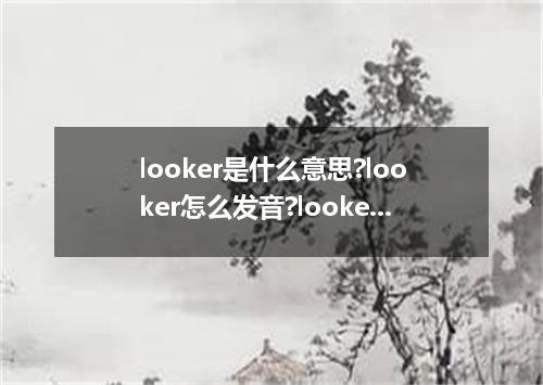 looker是什么意思?looker怎么发音?looker的解释和用法