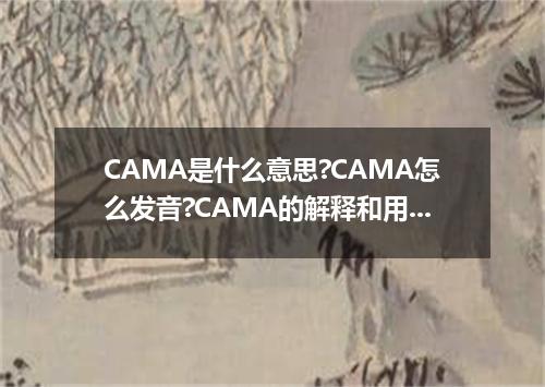CAMA是什么意思?CAMA怎么发音?CAMA的解释和用法