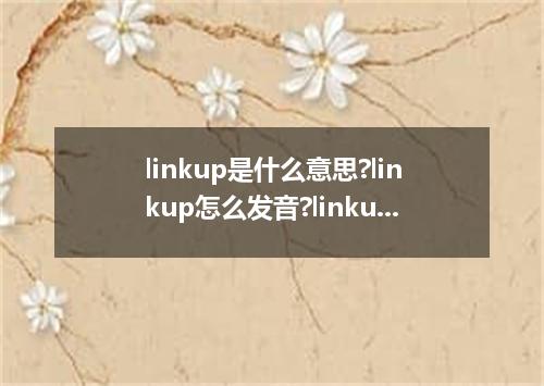 linkup是什么意思?linkup怎么发音?linkup的解释和用法