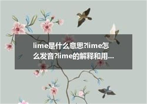lime是什么意思?lime怎么发音?lime的解释和用法