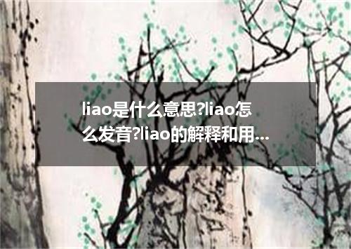 liao是什么意思?liao怎么发音?liao的解释和用法