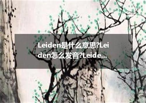 Leiden是什么意思?Leiden怎么发音?Leiden的解释和用法