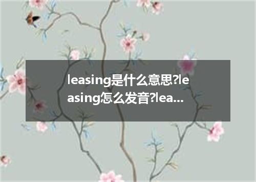 leasing是什么意思?leasing怎么发音?leasing的解释和用法