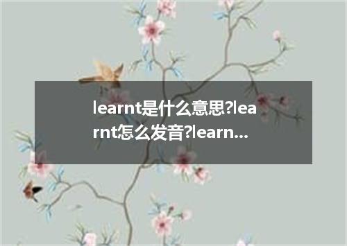 learnt是什么意思?learnt怎么发音?learnt的解释和用法