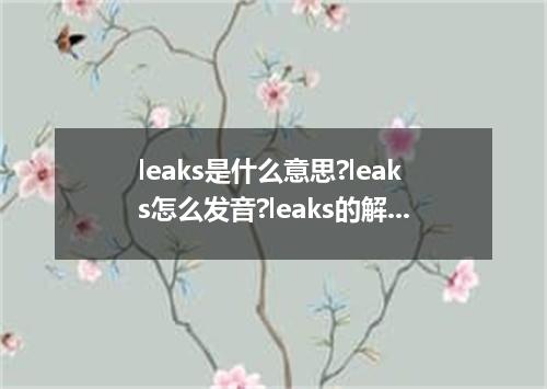 leaks是什么意思?leaks怎么发音?leaks的解释和用法