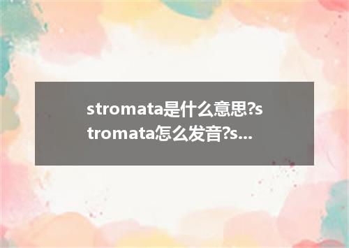 stromata是什么意思?stromata怎么发音?stromata的解释和用法