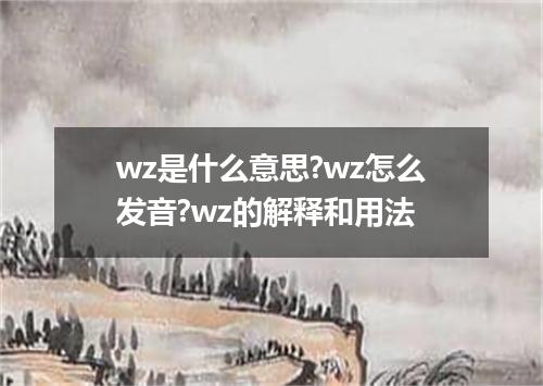 wz是什么意思?wz怎么发音?wz的解释和用法