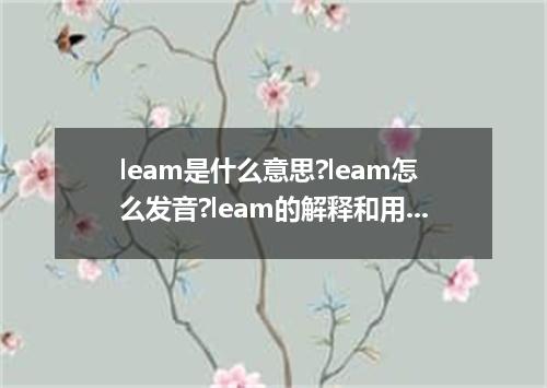 leam是什么意思?leam怎么发音?leam的解释和用法