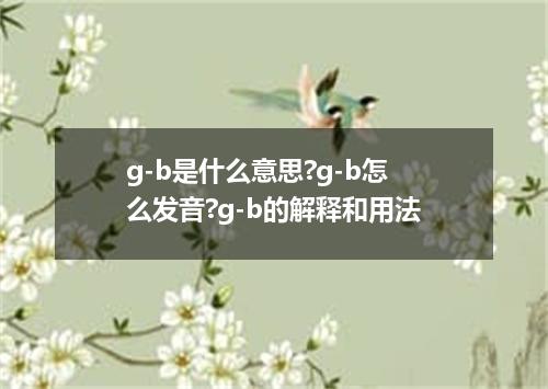 g-b是什么意思?g-b怎么发音?g-b的解释和用法