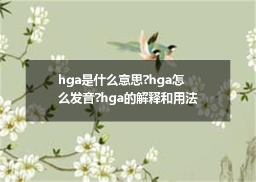 hga是什么意思?hga怎么发音?hga的解释和用法
