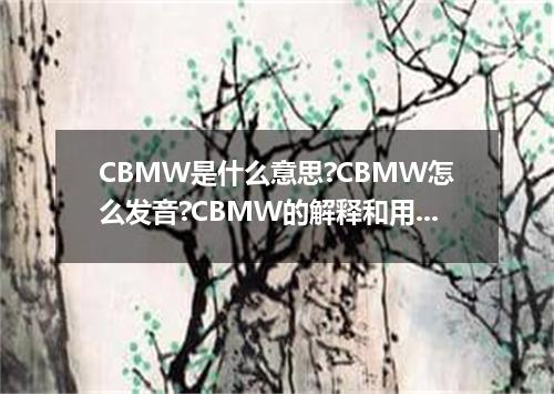 CBMW是什么意思?CBMW怎么发音?CBMW的解释和用法