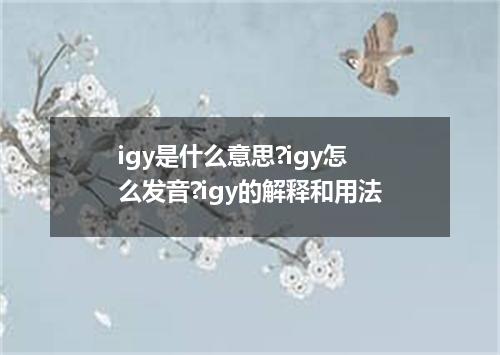 igy是什么意思?igy怎么发音?igy的解释和用法