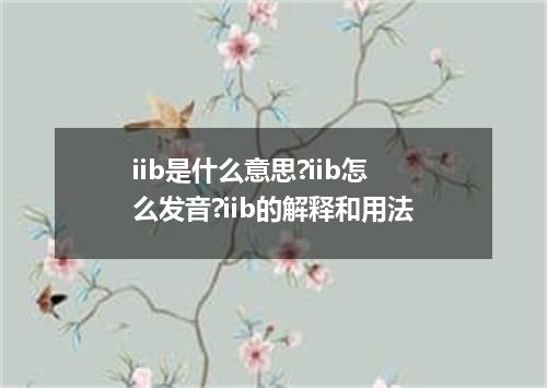 iib是什么意思?iib怎么发音?iib的解释和用法