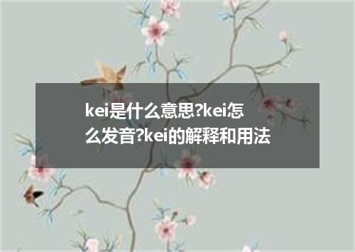 kei是什么意思?kei怎么发音?kei的解释和用法