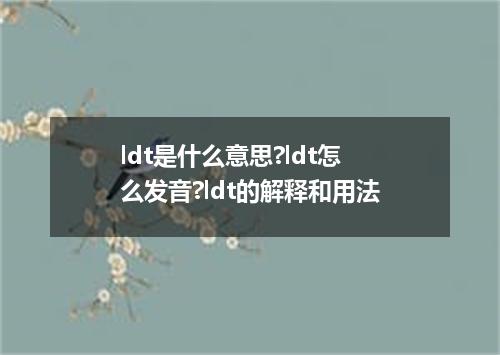 ldt是什么意思?ldt怎么发音?ldt的解释和用法