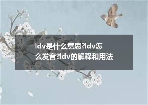 ldv是什么意思?ldv怎么发音?ldv的解释和用法