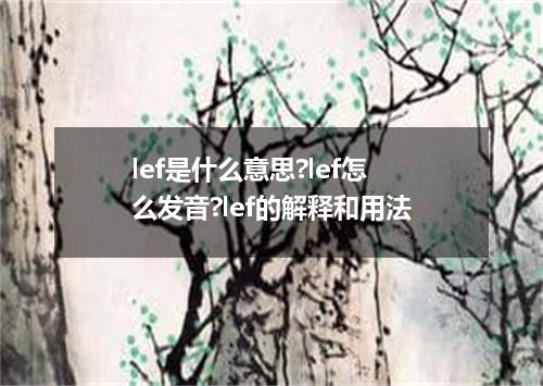 lef是什么意思?lef怎么发音?lef的解释和用法