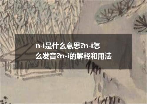 n-i是什么意思?n-i怎么发音?n-i的解释和用法